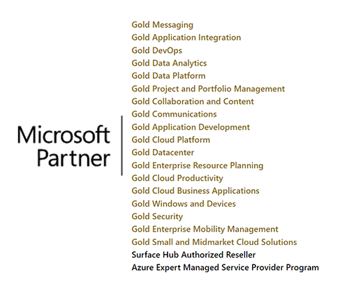 MS Partner Overview 2022_500.png