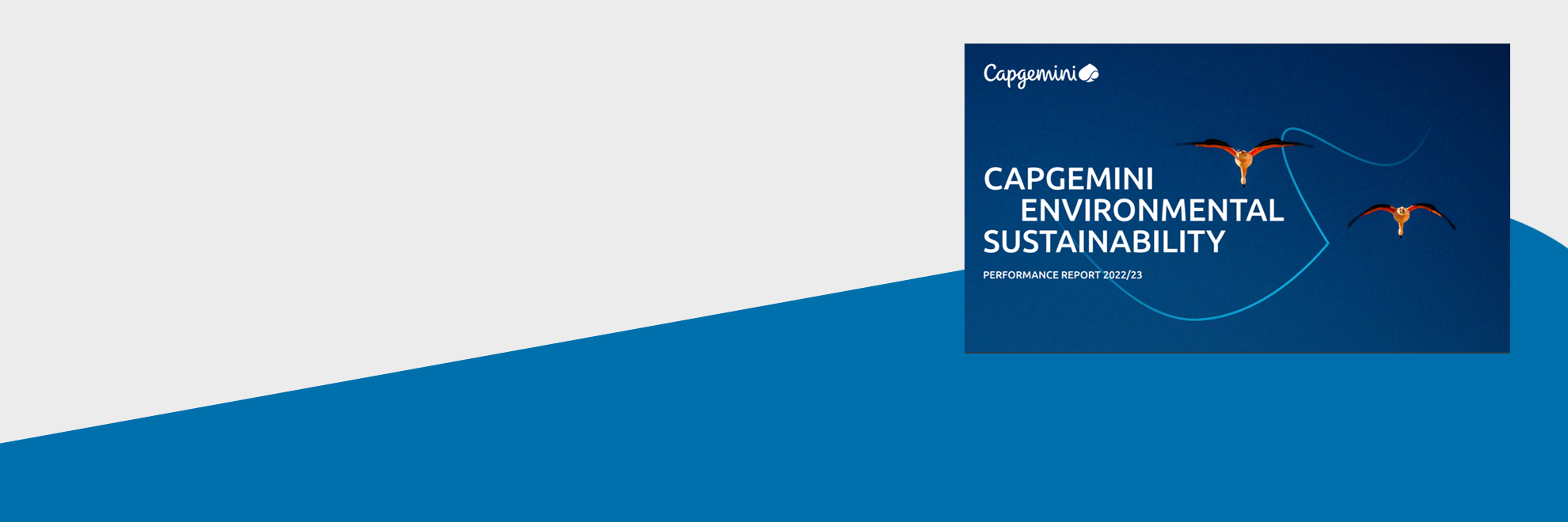 Capgemini Environmental Sustainability Report 2023
