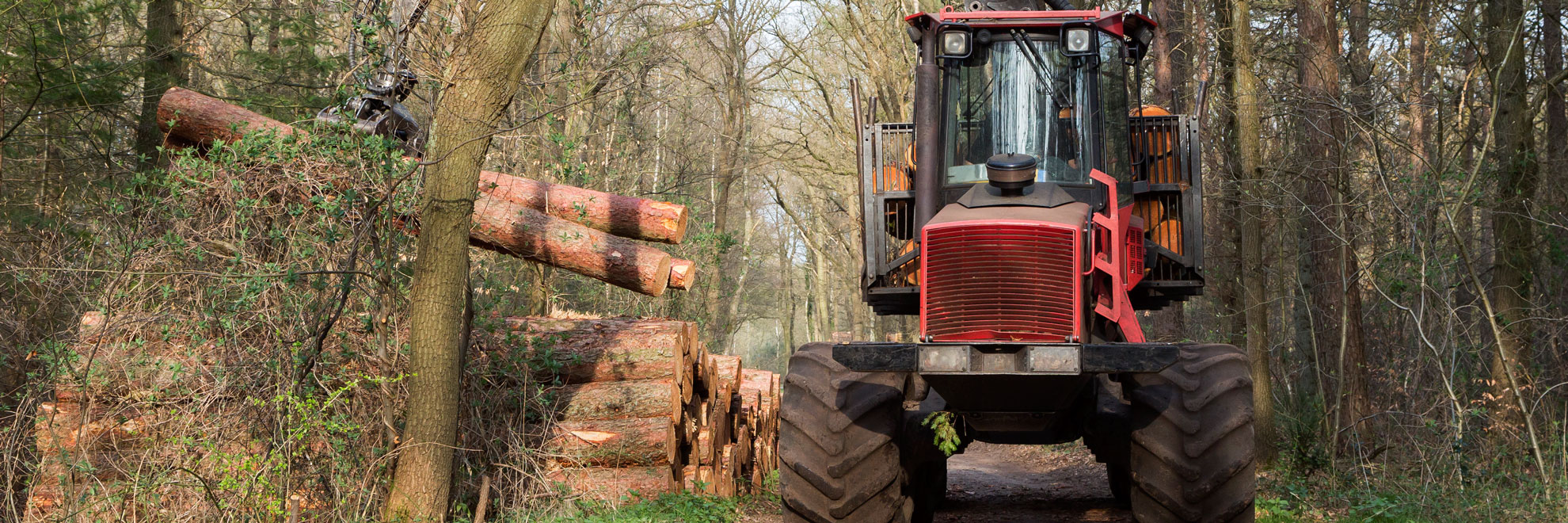 forestry with tractor